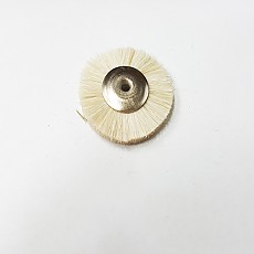 솔빠우
