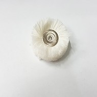 털빠우