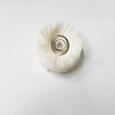 털빠우